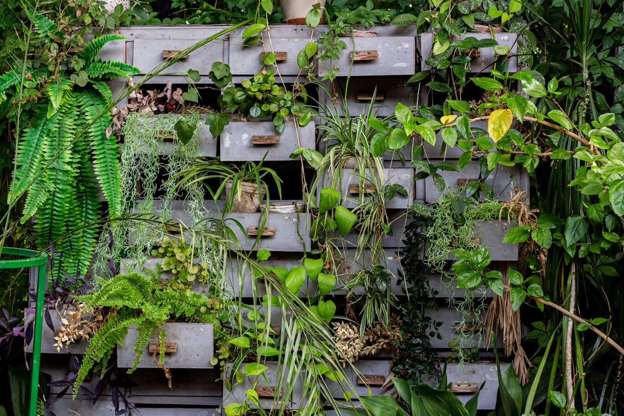 How Long Do Plants Live