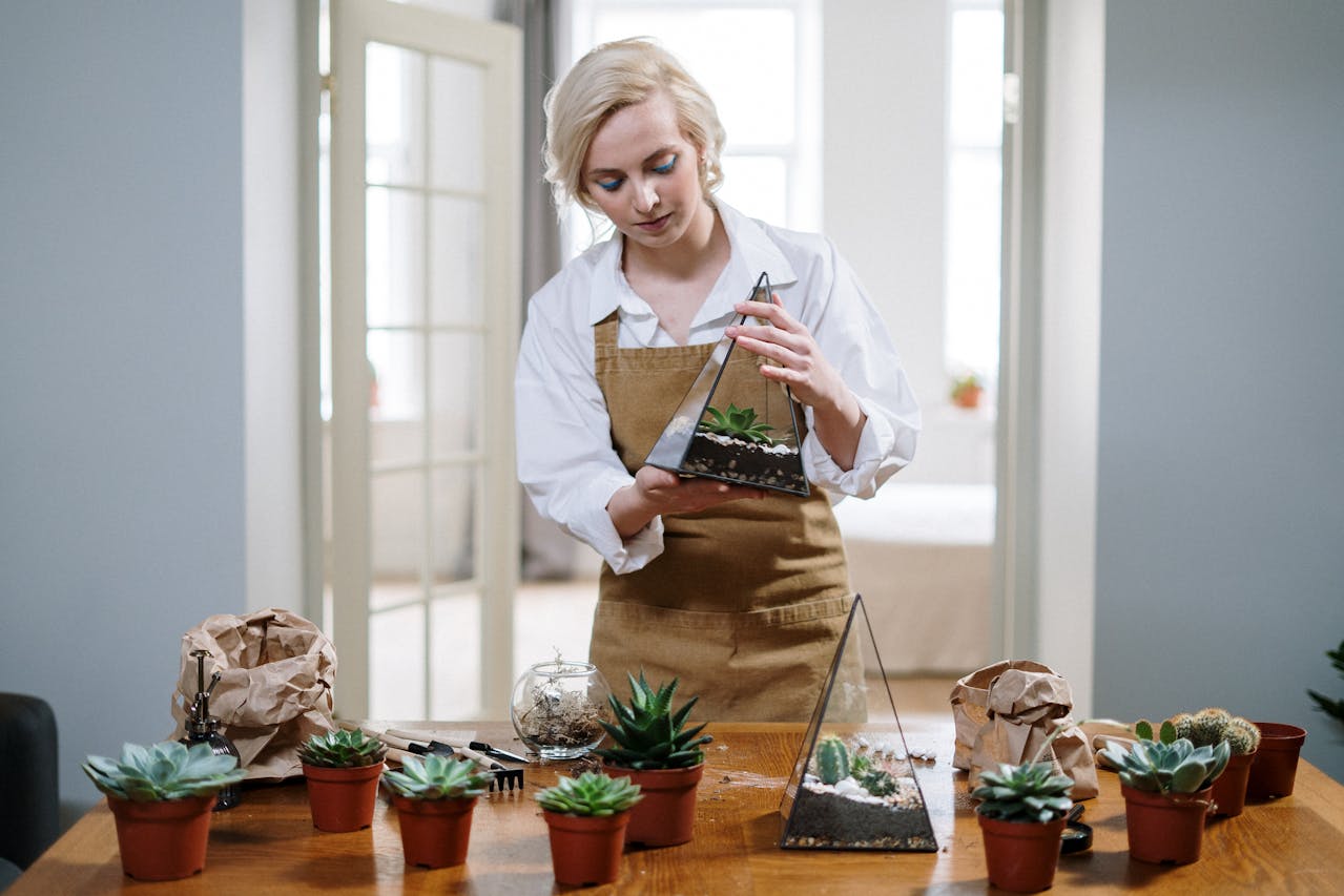 How to Identify Indoor Plants